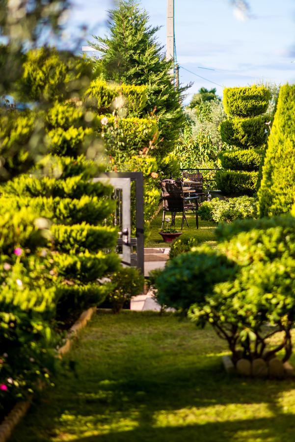 Villa Mandani タソス エクステリア 写真
